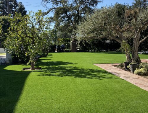 The Benefits of Turf Installation Over Real Grass